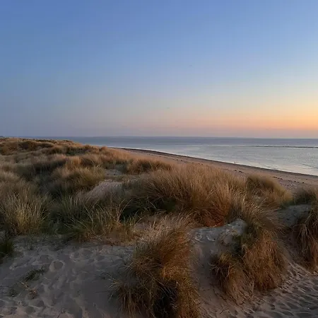 La Glycine Baie Du Mont St Michel