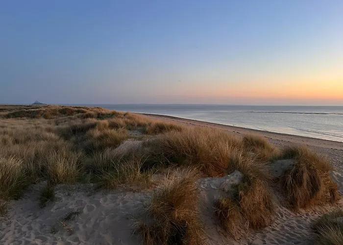 La Glycine Baie Du Mont St Michel
